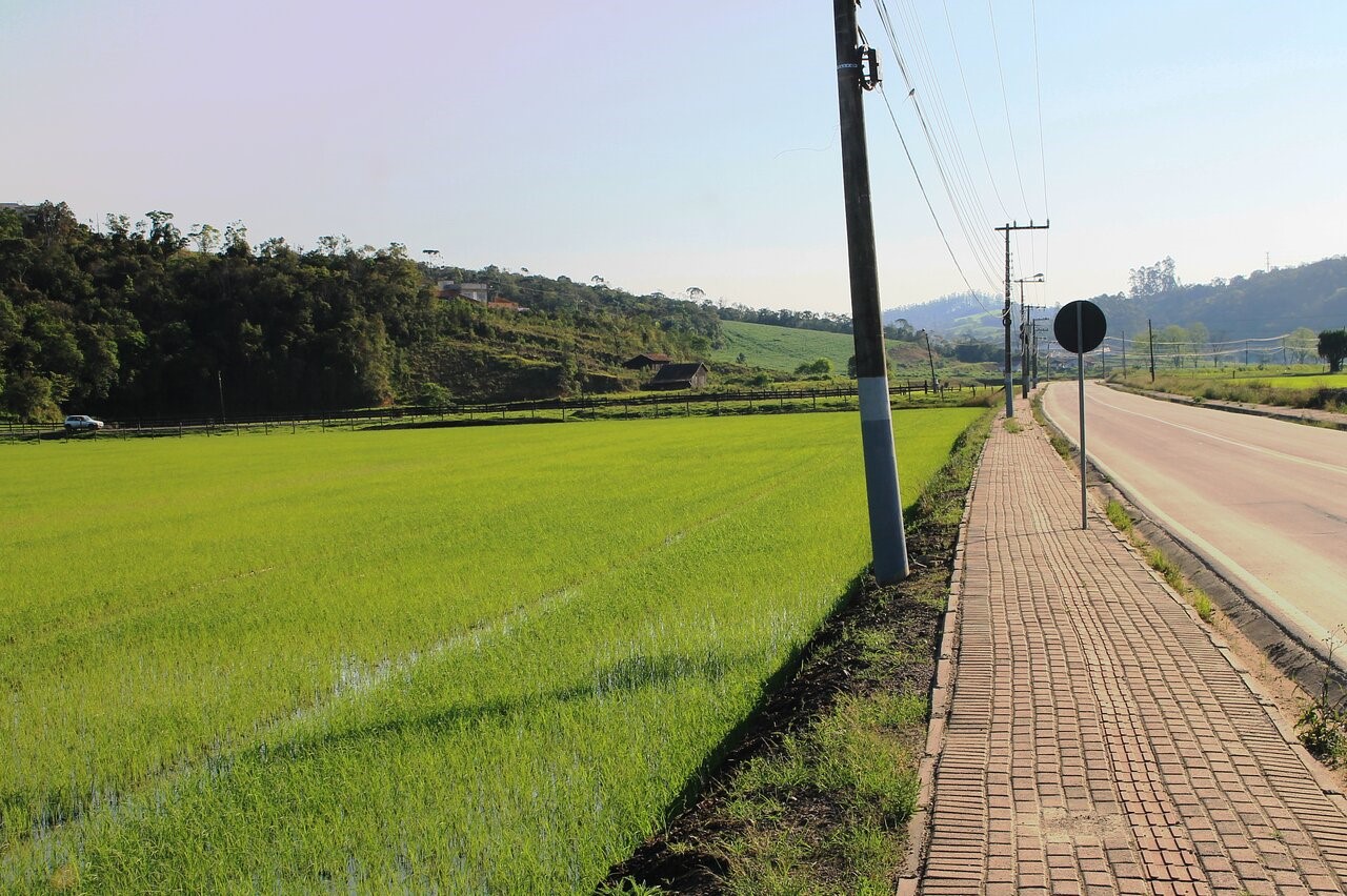Imagem de Agronômica sc